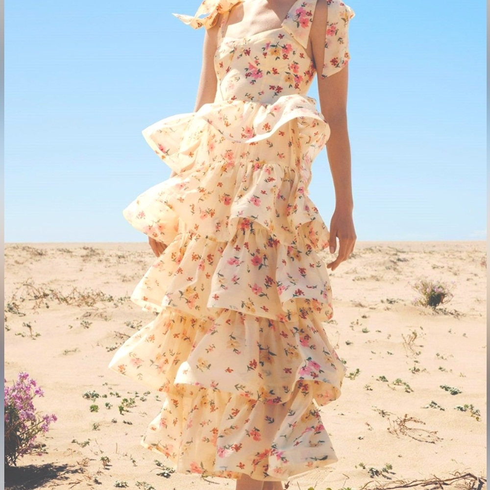 & Other Stories floral corset front tiered Asos prom dress